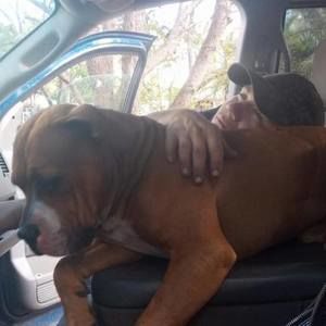 Meet your Posher, Christopher